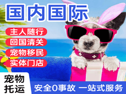 天河空运代理国际宠物托运 【国